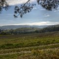 Herbst in Neu-Anspach 19.10.2013