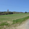 Sonntagsspaziergang in Neu-Anspach 09.04.2017