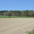 Sonntagsspaziergang in Neu-Anspach 09.04.2017