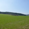 Sonntagsspaziergang in Brombach 09.04.2017