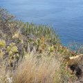 La_Palma_20161101_071