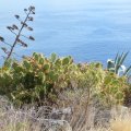 La_Palma_20161101_073