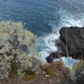 La_Palma_20161101_160