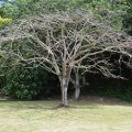 Seychellen_0402