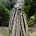 Seychellen_0414