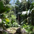 Seychellen_0488