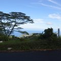 Seychellen_0531