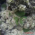 Seychellen_0542_03