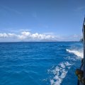 Seychellen_0798_2